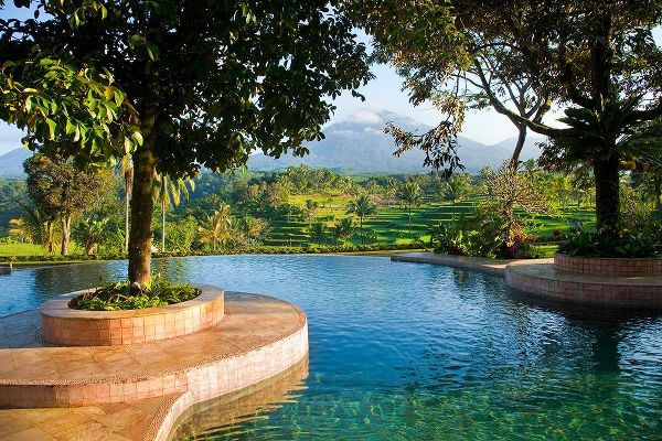 Indonesia-Java Landscape with pool and rice terraces at resort